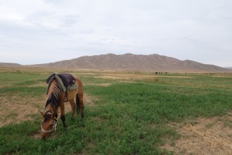 Ballade à cheval vers le lac Issyk koul (KIRGHIZISTAN)
